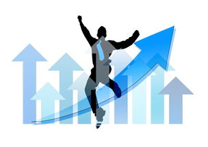 爱游戏体育入口-中国篮球职业俱乐部财务风险管理实践，篮球俱乐部经营与管理