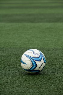 爱游戏app推荐-高校体育赛事应急管理体系构建，体育赛事应急预案细则